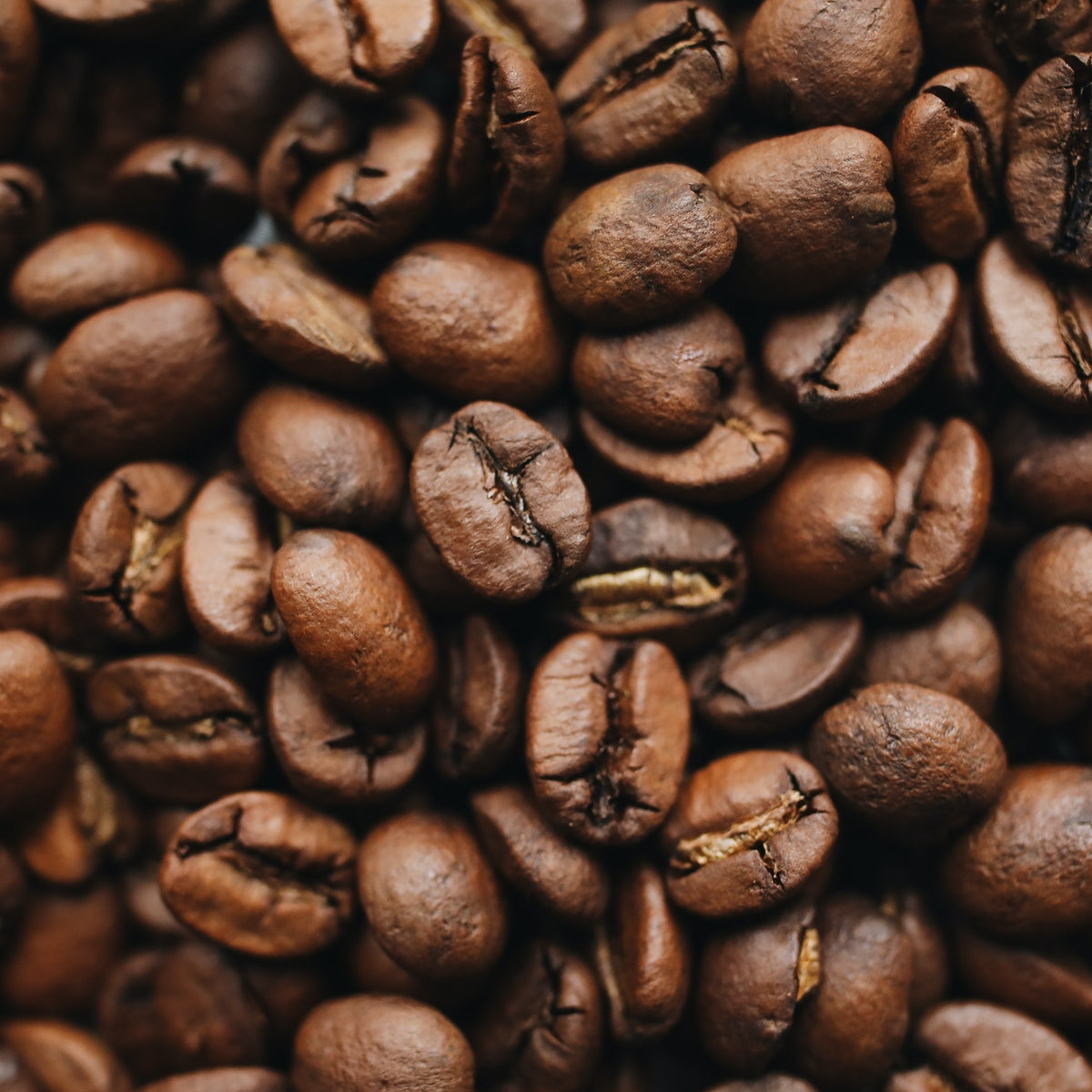 roasted coffee beans